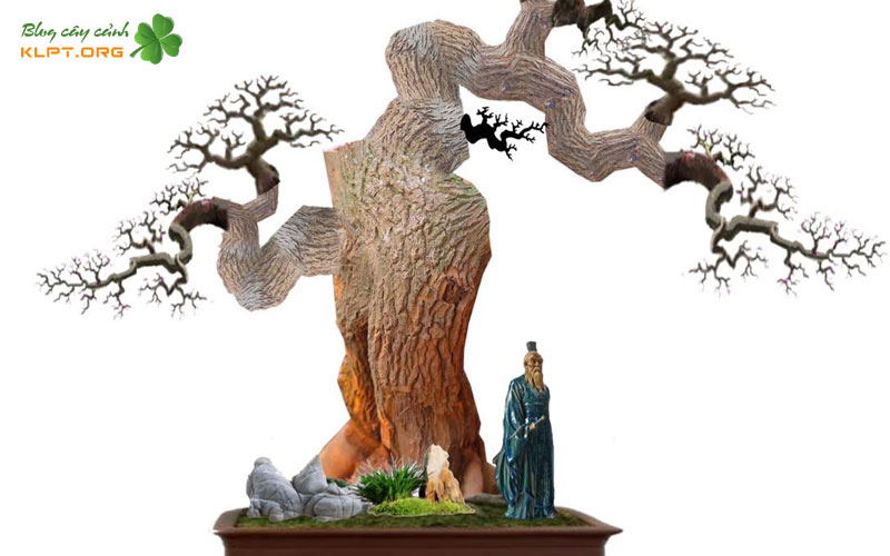 chuan-bi-truoc-khi-demo-cay-canh-klpt