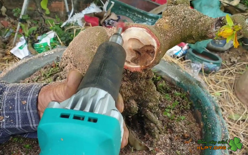 dung-cu-can-chuan-bi-quangnamtoplist