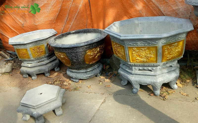 gioi-thieu-cua-hang-chau-kieng-dai-trieu-tay-ninh-klpt