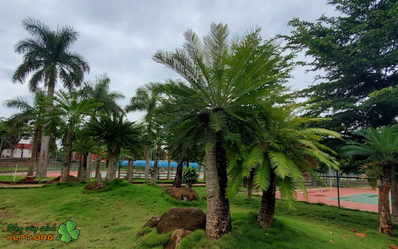 huong-dan-chi-tiet-cach-nhan-giong-bang-tach-choi-1-klpt