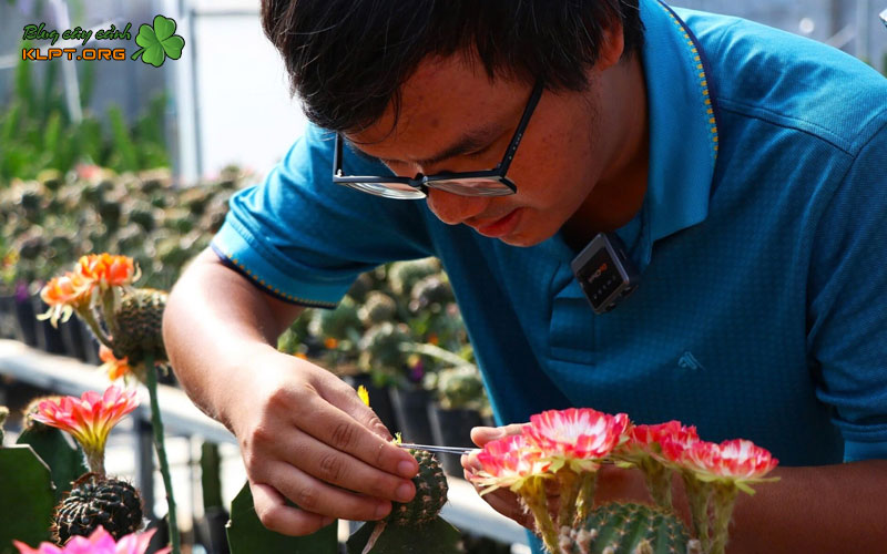 thoi-diem-vang-de-thu-phan-xuong-rong-klpt