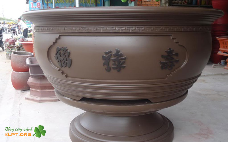 tong-quan-ve-co-so-chau-kieng-phuc-nguyen-klpt