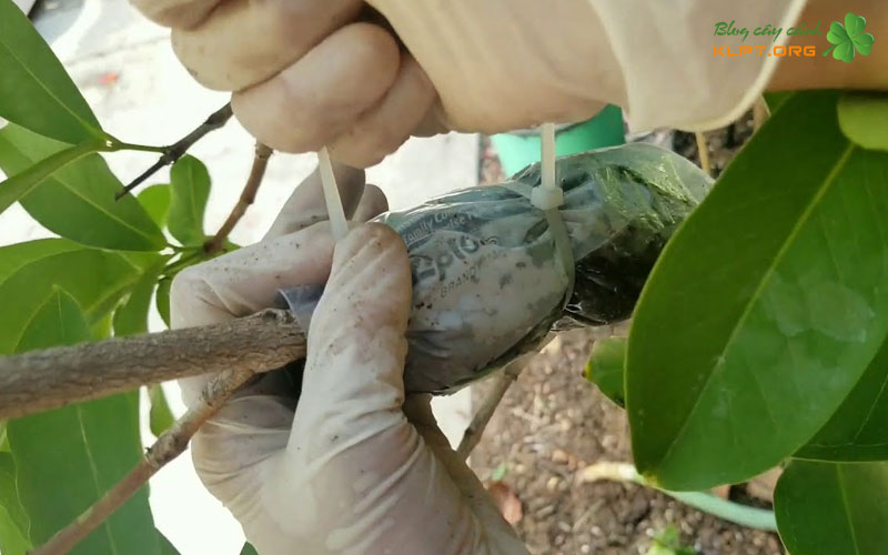 chuan-bi-dung-cu-va-vat-lieu-can-thiet-klpt