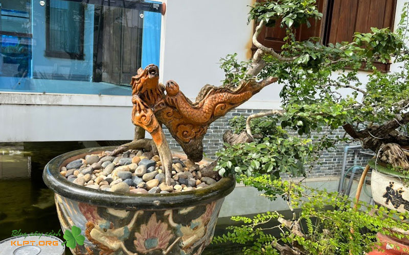 gia-tri-va-cong-dung-trong-doi-song-klpt