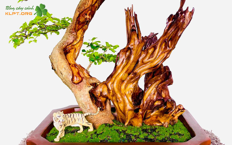 trac-nghe-la-cay-gi-klpt