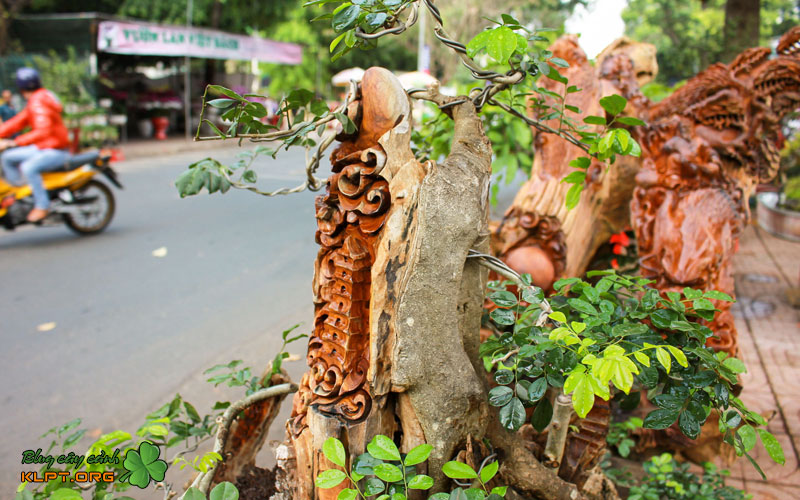 vi-sao-trac-nghe-duoc-xep-vao-nhom-go-quy-klpt