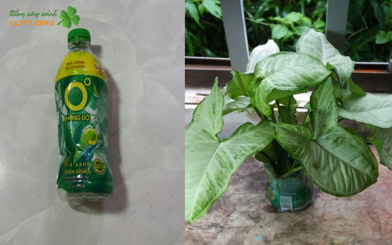 khau-chuan-bi-vat-lieu-nhanh-gon-de-tim-klpt