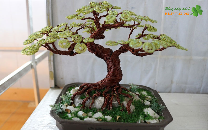 cach-bao-quan-bonsai-day-dong-giu-duoc-lau-va-dep-klpt