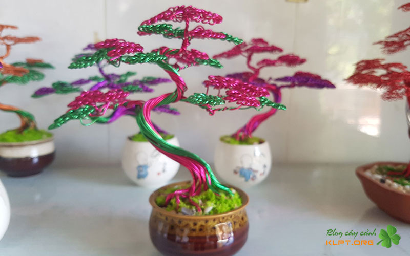 meo-giup-cay-bonsai-mini-dep-hon-va-chuyen-nghiep-hon-klpt